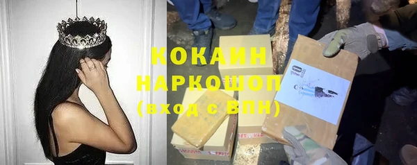 гашик Верея