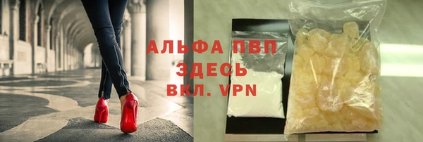 гашик Верея