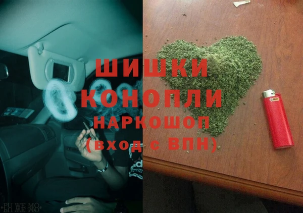 гашик Верея