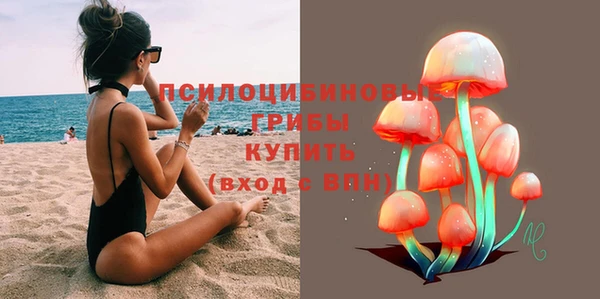 гашик Верея